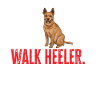 Bouvier australien Red Blue Heeler