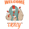 Welcome To The Coop