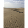 Spuren im Sand