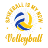 Spikeball Sport