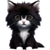 Chat Propriétaire Chat Domestique Chaton