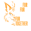 Furry Fandom Fursuits