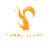 Furry Fandom Fursuits Drôle
