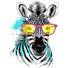 Lapi das Brillenzebra