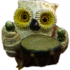hibou chouette