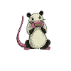Opossum plays harmonica