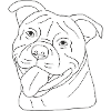 Old English Bulldog