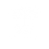Easily Distracted By Genealogy Genealogist