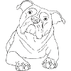 Old English Bulldog