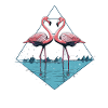 Flamingos stand in the water