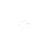 Real Gamers Play Chess