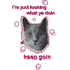 Katze mit Spruch