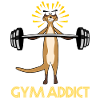 Gymnase Suricate Strongman