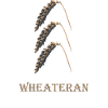 Weizen Veteran