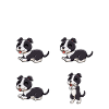Dog Staffy