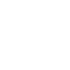 Dog Yorkie