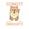 Hund Zwergspitz