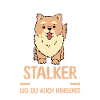 Hund Zwergspitz