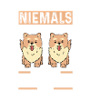 Hund Zwergspitz