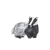 Tiermotiv Dachs
