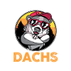 Tiermotiv Dachs
