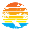 Surfer Sunset and Palm Trees