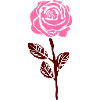 rose