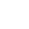 Dressage horse