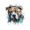 American Staffordshire Terrier
