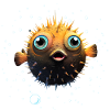 Puffer Fish
