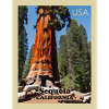 Sequoia National Park