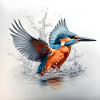 Eisvogel