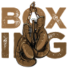 Boxing Gloves