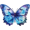 Blue butterfly