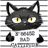 Bad Cattitude