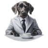Hund wie Herrchen oder Frauchen