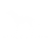 Old English Bulldog