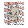Chinchilla Longhair Shorttail Longtail