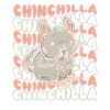 Chinchilla Longhair Shorttail Longtail