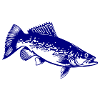 Pike Fish Silhouette