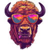 Boli the bison