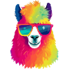 Oxy the spectacled llama