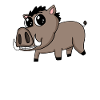 Wild boar - Pig - Game