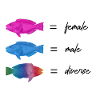 female male diverse by2Fettdesign