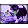 chaton jouant