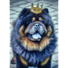 Chow Chow mit Krone