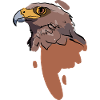 Buzzard