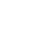 Game Developer
