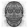 Skull and Art 1