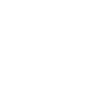 Cat / Portrait